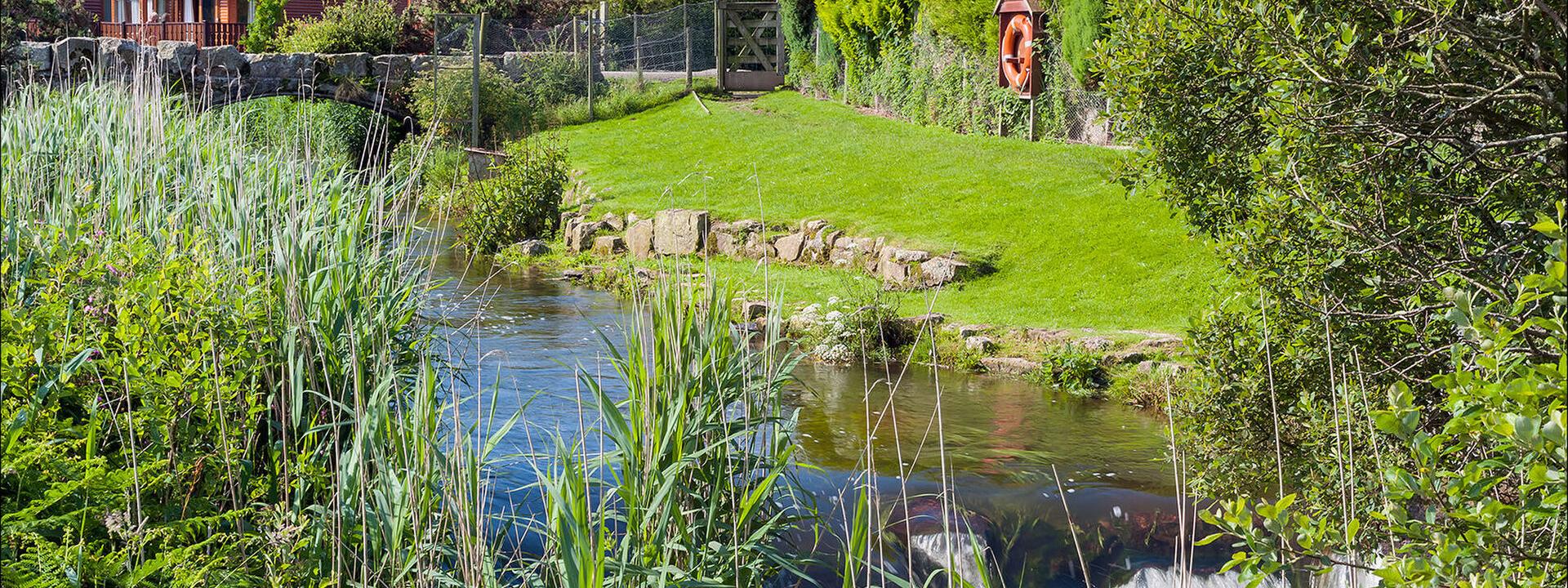 Lodges surrounded by Trees with a Stream flowing nearby